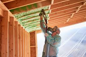 Best Insulation for Existing Homes  in Carnesville, GA